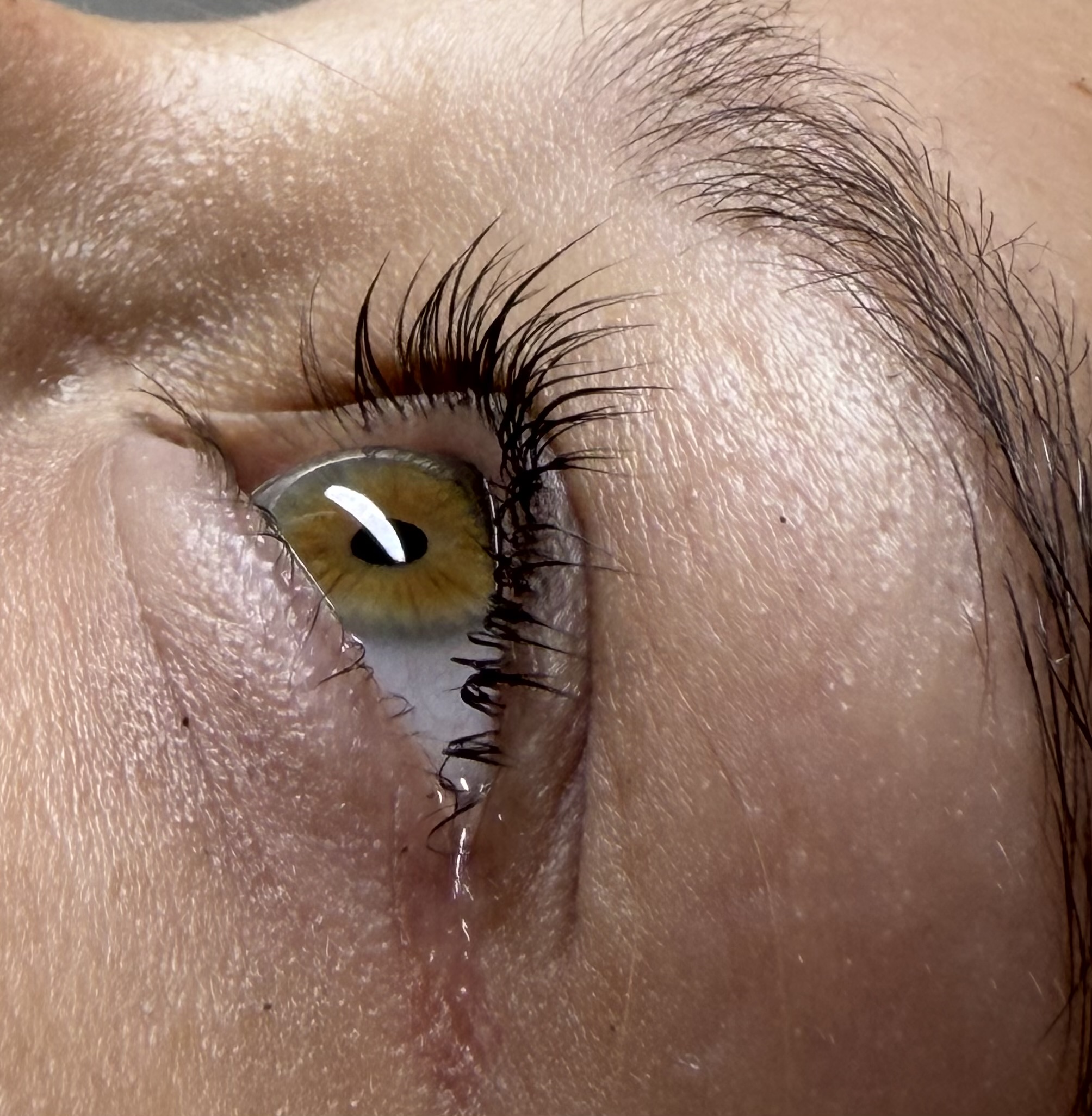 Lashes by Viktoriia