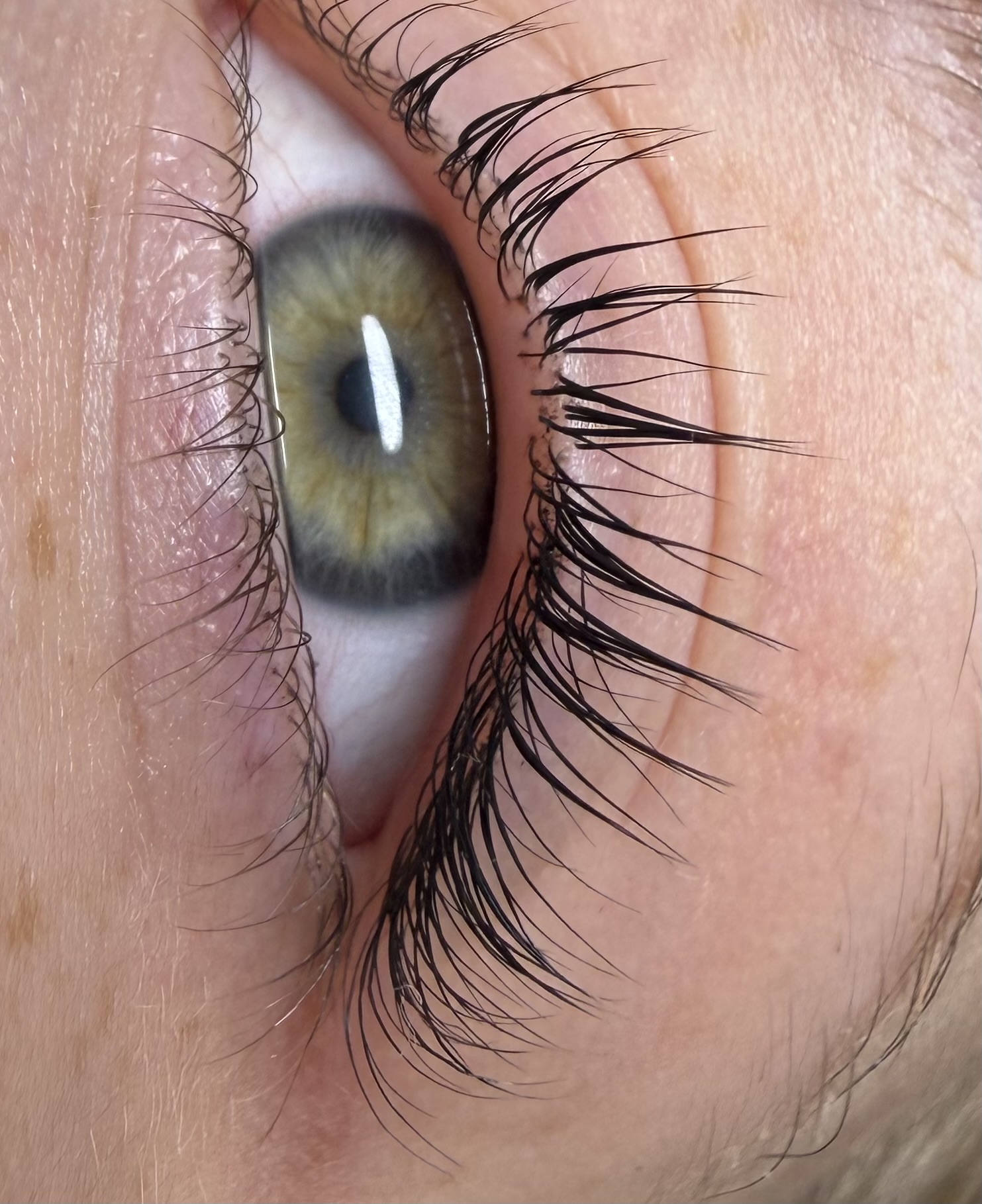 Lashes by Viktoriia